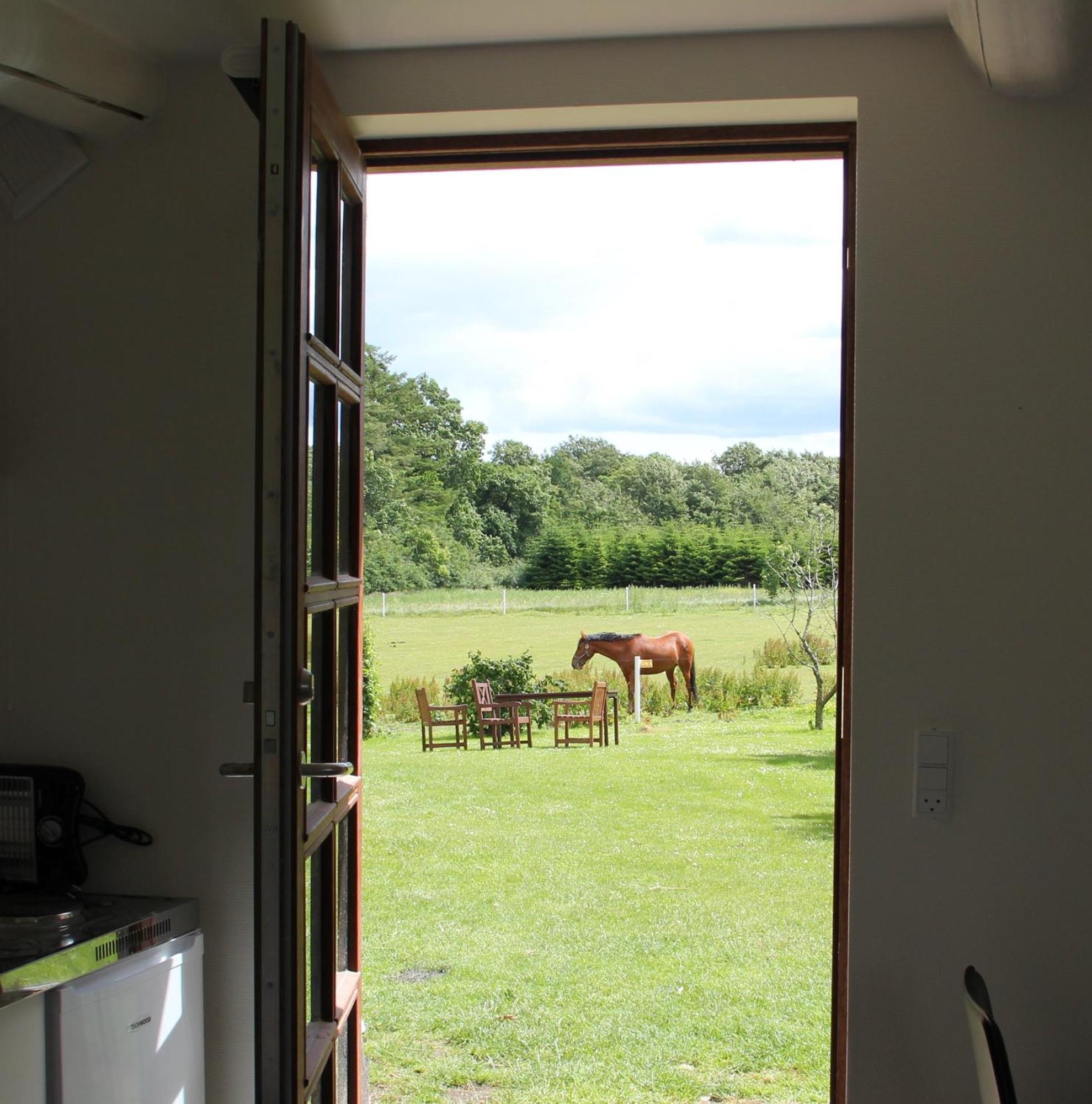 Munkebjerg Bed & Breakfast Borkop Bilik gambar