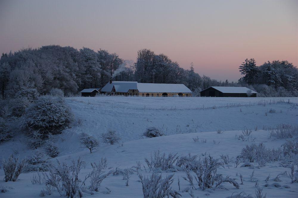 Munkebjerg Bed & Breakfast Borkop Luaran gambar