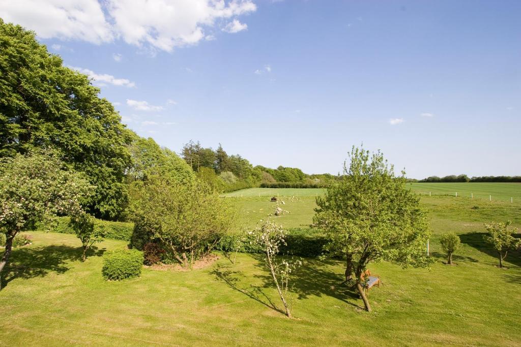 Munkebjerg Bed & Breakfast Borkop Luaran gambar